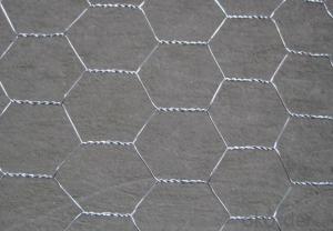 High Quality Galvanized Hexagonal Wire Mesh Panel System 1