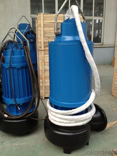 Submersible Clean pump System 1