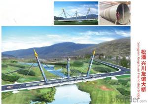 Steel Bridge Project