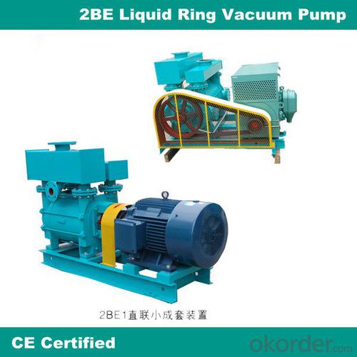 YHZKB-2BEA DC series water ring pump System 1