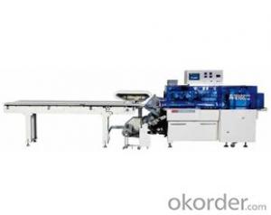 Rice and Flour Packing Machine