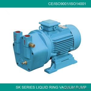 SK-0.15water ring vacuum pump System 1