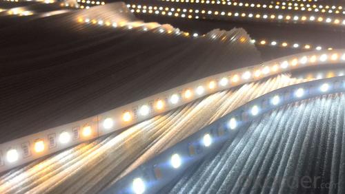 Double color SMD5630 LED strip,SAMSUNG/Epister Chip White+Warm White LED strip light System 1