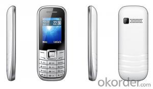 Dual SIM standby GSM network feature mobile phone System 1