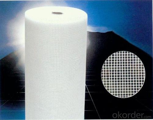 Fiberglass Mesh Cloth - Alkali-Resistant Fiberglass Mesh Cloth 110g 10*10 System 1