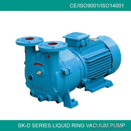 SK-D series water ring vaccum pump System 1