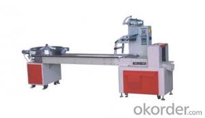 Candy Packing Machine System 1