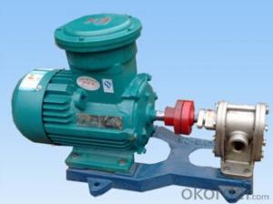 Stainless Steel Hydraulic Gear Oil Pump