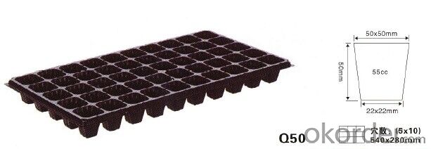 Plug tray Q50 Plant tray Cell tray System 1