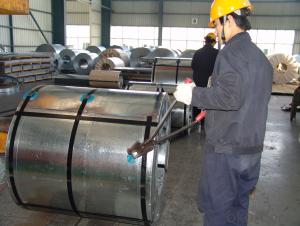 Hot Dipped Galvanized Steel Coil/Sheet-JIS G 3302 SGCC System 1