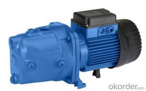Self-priming Surface Centrifugal Water Pump System 1