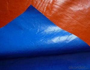 Blue/Orange PE Tarpaulin System 1