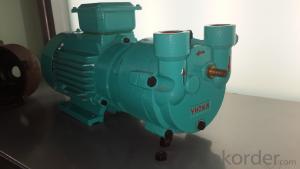 SK-3D water ring vacuum pump with flange port System 1