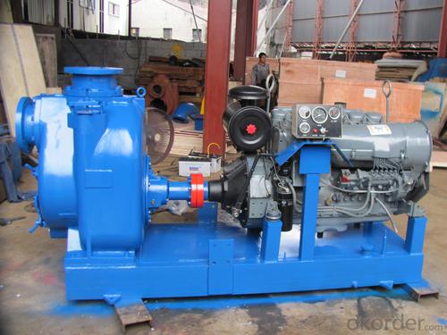 Self priming 8 inch Centrifugal sewage electric motor pump System 1