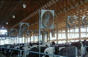 Energy Saving Cow-house Exhaust Fan