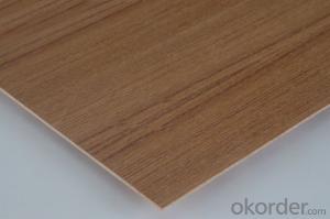 Poplar Core Door Skin Plywood 3'x7' 3'x6' System 1