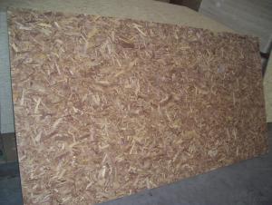 Pine OSB Board Plywood
