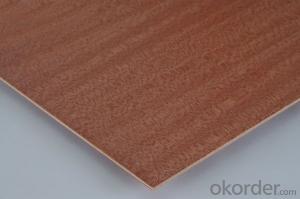 Small Size Plywood Door Skin Poplar Core 3'x7' 3'x6' or Other Small size available