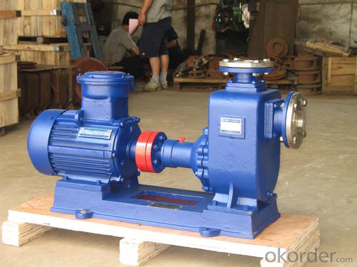 ZX Type self priming centrifugal EX-Proof motor pump System 1