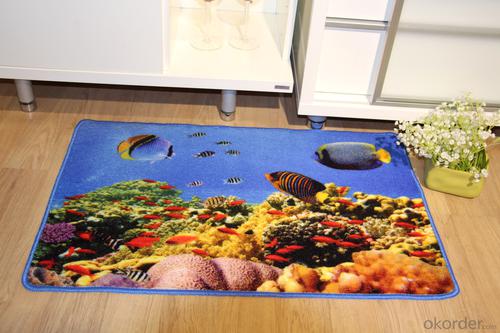 Hot Sale Anti-slip Nylon Printed Rug System 1