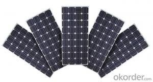 Solar Modules PV Cells Panel Solar Panel in 100