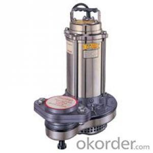 Stainless Submersible Sewage Pump SSP Series System 1