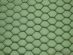 PVC coated Hexagonal Wire netting System 1