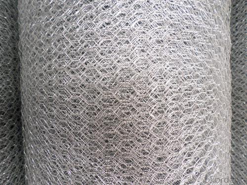 Galvanized Hexagonal Wire Mesh of high quality System 1