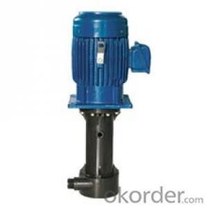 CS/CST Wet/dry Running Vertical Pump System 1