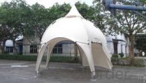 Hot Sales Star tent