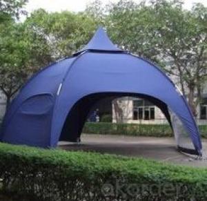 Party dome tent