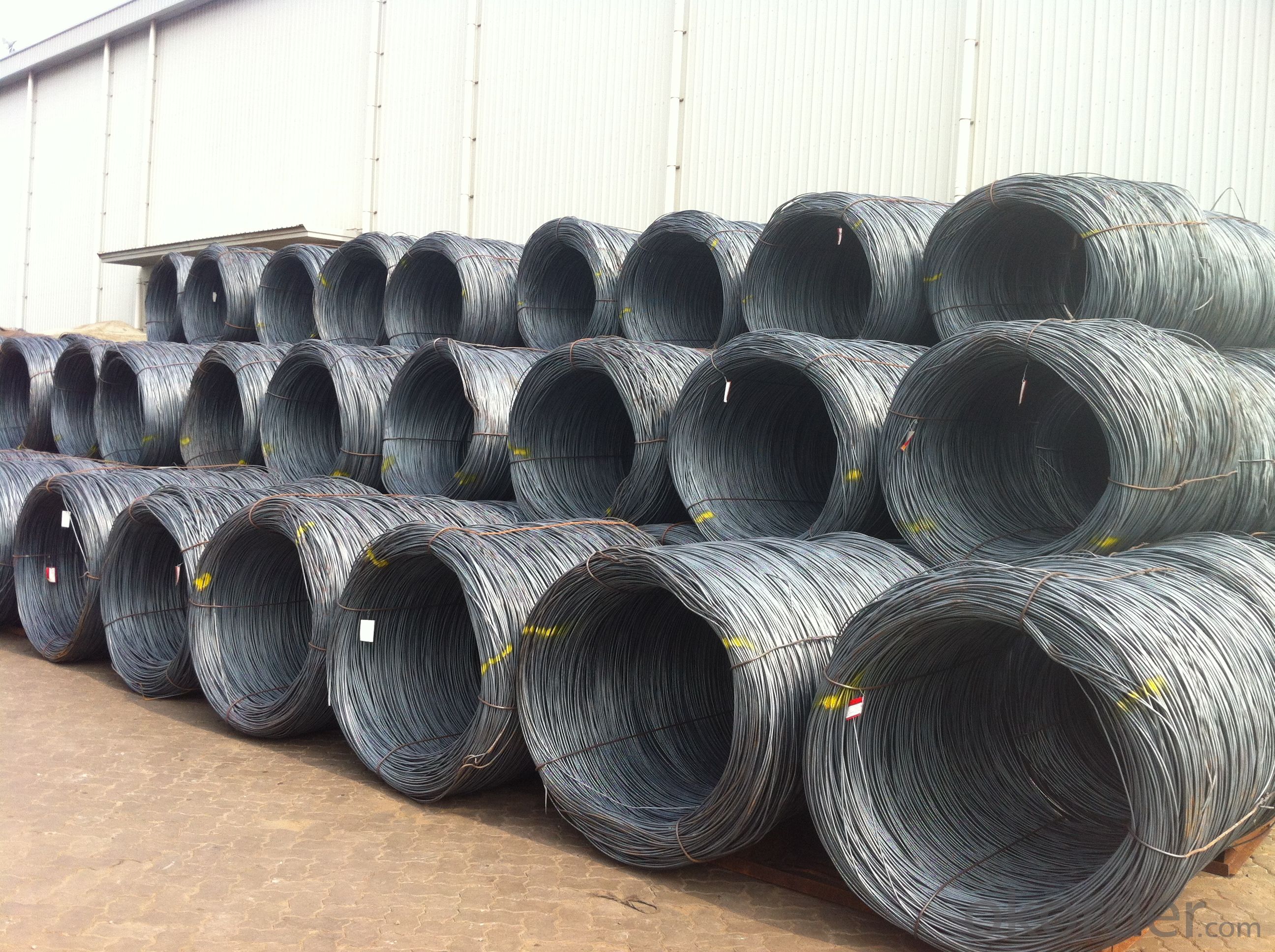 Hot Rolled Steel Wire Rods with Grade ASTM SAE1008
