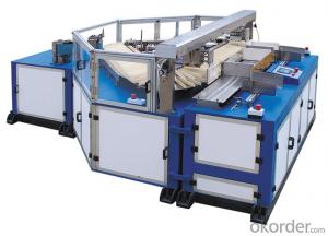 Full Servo Controlled Automatic Stacker System 1