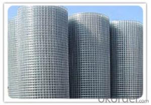 Welded Wire Mesh 1'' Opening