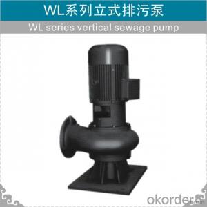 Vertical Sewage Pump