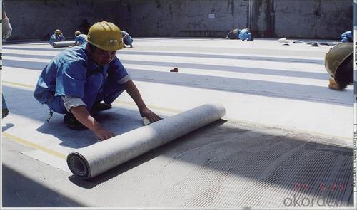 High Polymer Polyethylene Waterproof Membrane System 1