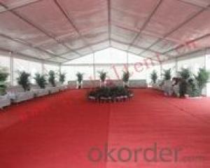 Outdoor big party event tent with red carpet