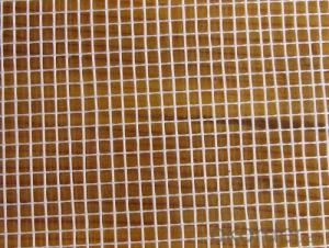Fiberglass mesh 2.5 * 2.5 50g