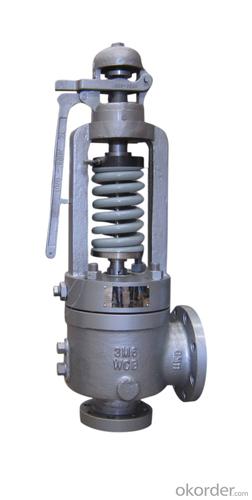 High Performance ASME Safety Valve For Steam Service System 1