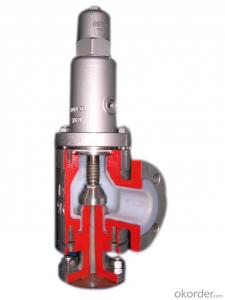 High Performance High Temperature Relief Valve System 1