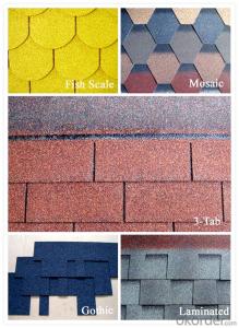 Asphalt shingle with good quality competitive price System 1