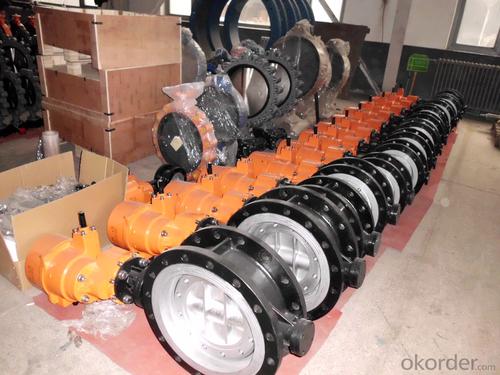 Butterfly Valve of China High Quality Sanitary System 1