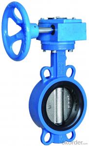 valve of china 6800 System 1