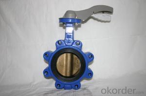valve of china 5800