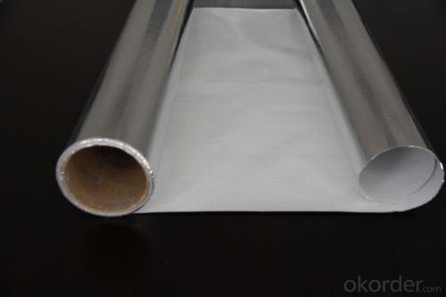 Aluminum Foil Facing, Singled Sided Woven Foil System 1