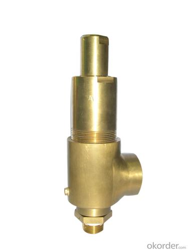 High Performance Safty Valve System 1