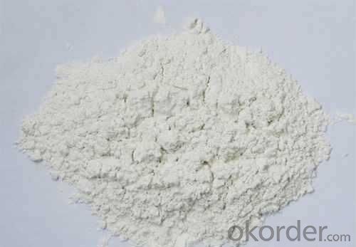 High Quality Calcium Hydroxide Powder Hydrated Lime System 1