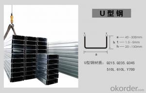 U type steel System 1