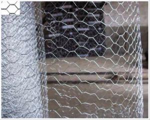 Hot Dipped Galvanized Hexagonal Wire  Mesh System 1