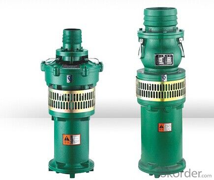 Oil-filled Submersible Pump System 1